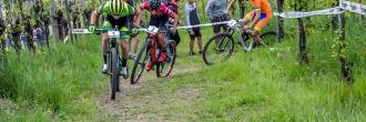 15° Cross Country Tra le Torri